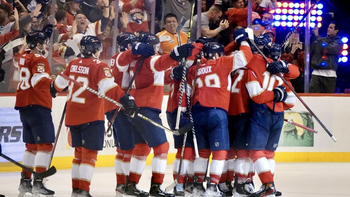 Florida panthers