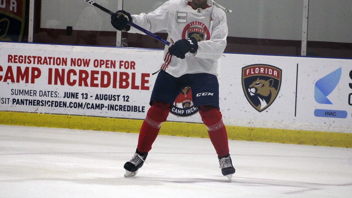 Florida panthers