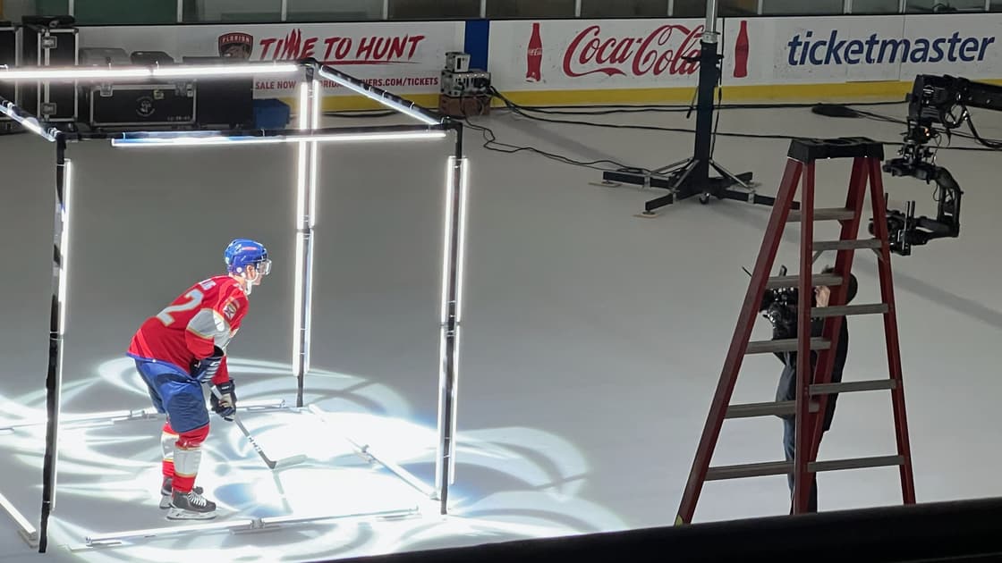 Florida panthers
