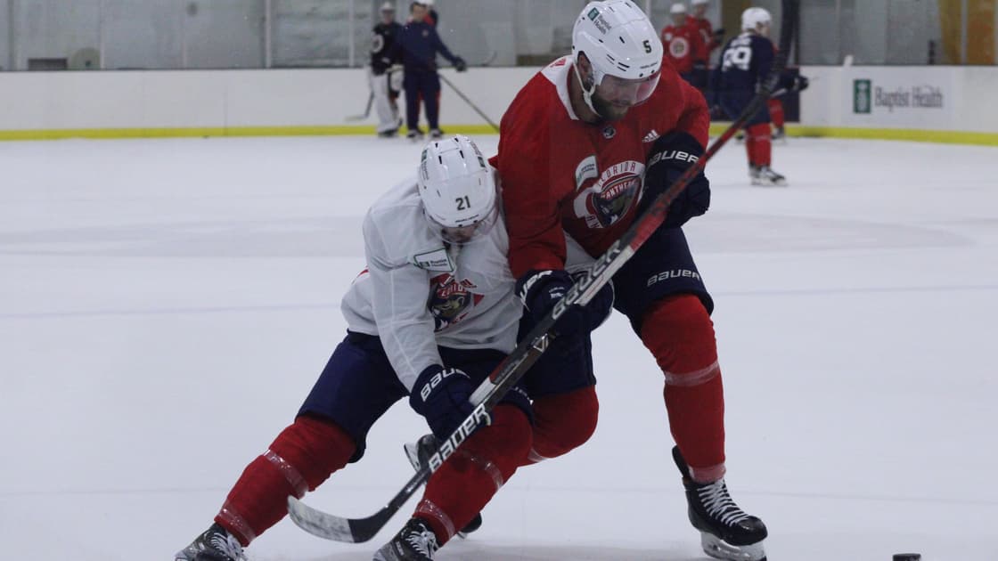 Florida Panthers