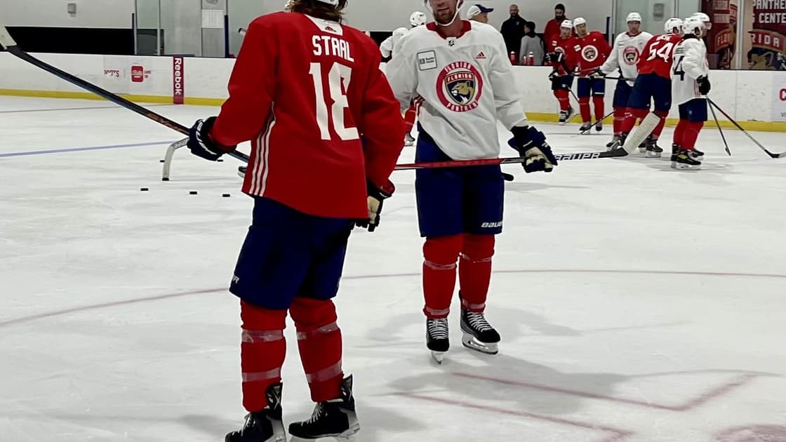 Florida panthers staal