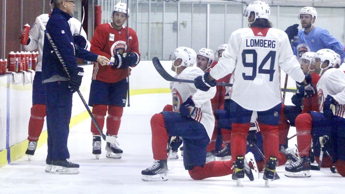 Florida panthers