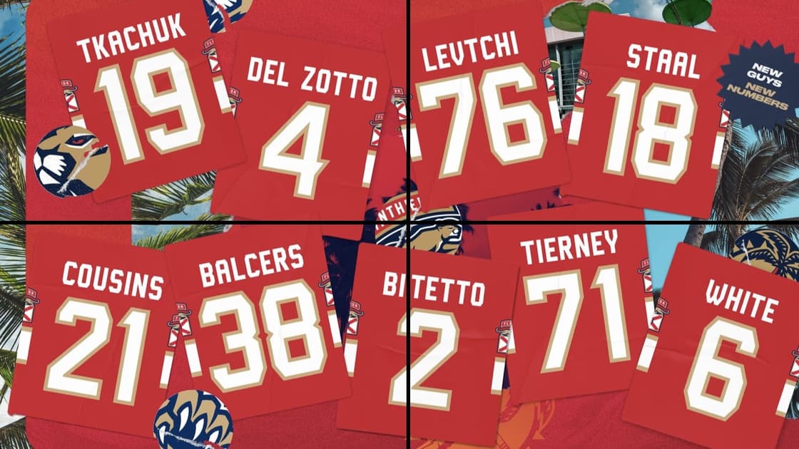 Florida panthers