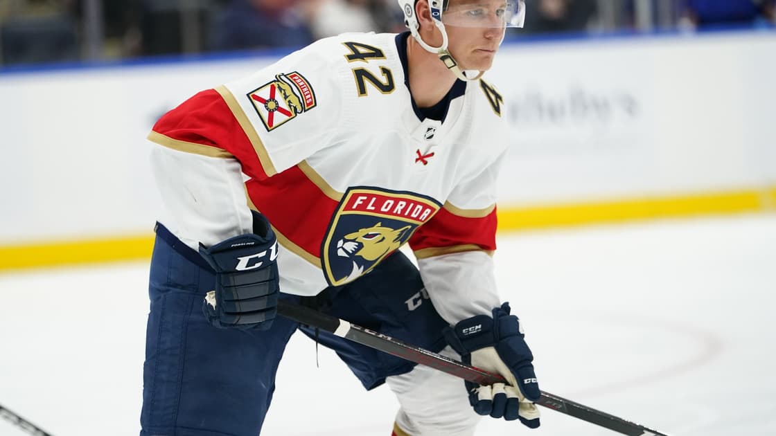 Florida panthers