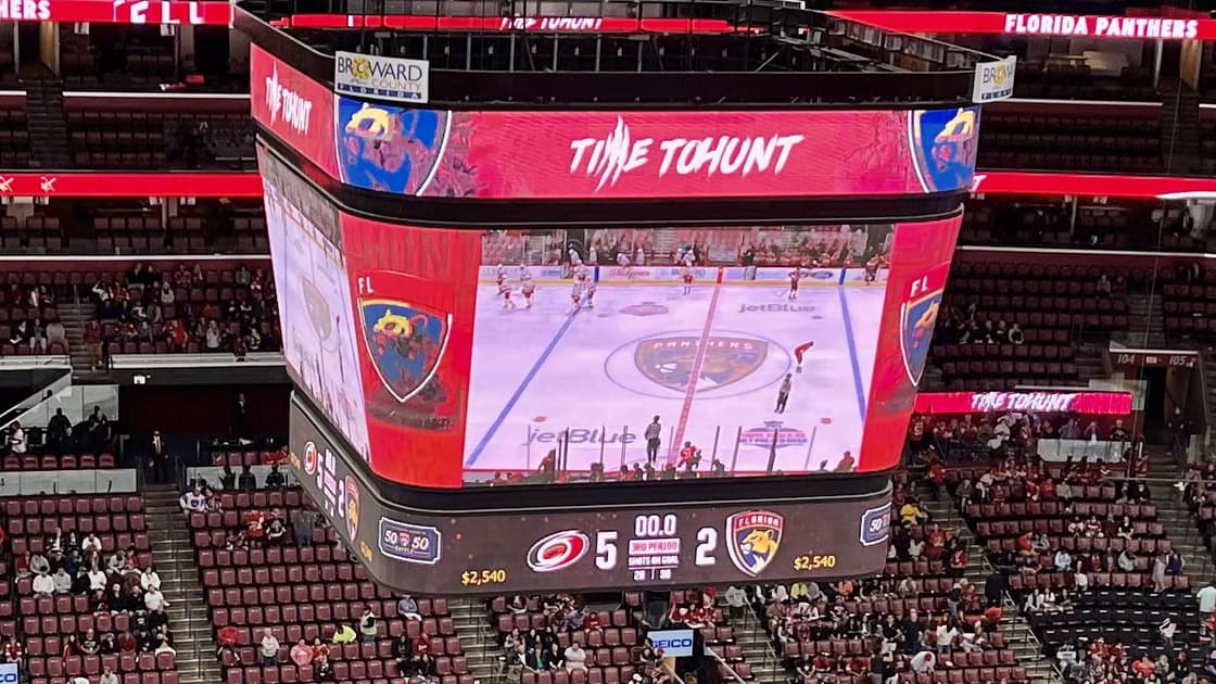 Florida panthers
