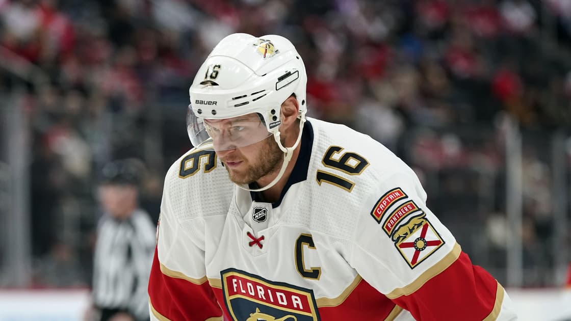Florida panthers
