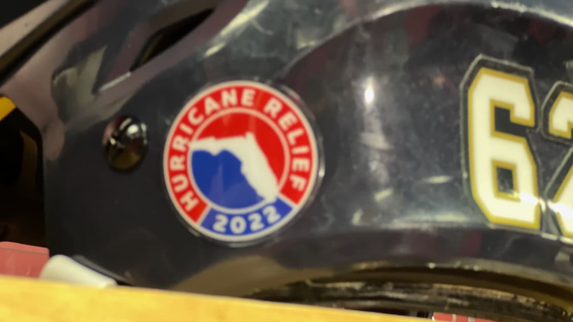 Florida panthers