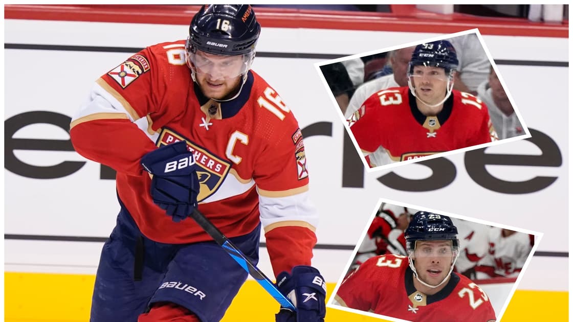 Florida panthers
