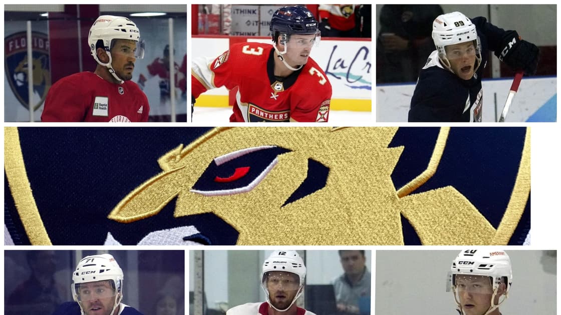 Florida panthers