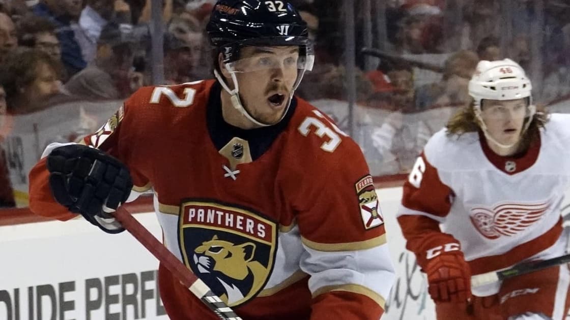 Florida panthers