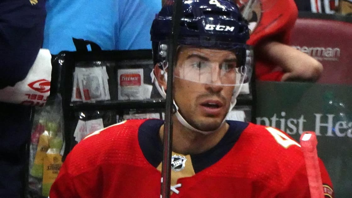 Florida panthers