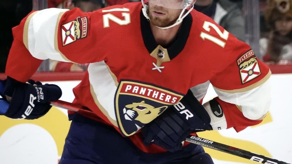 Florida panthers