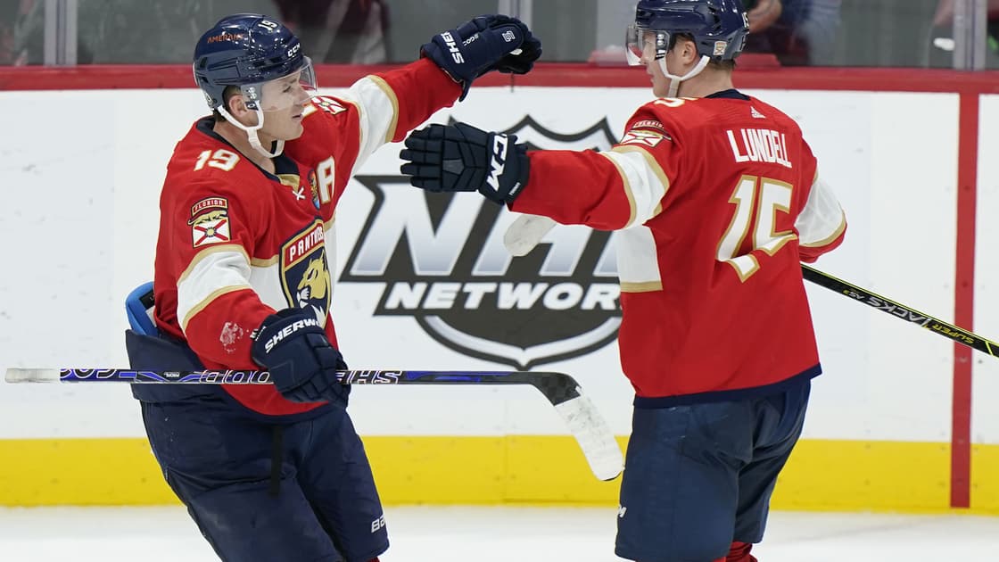 Florida panthers