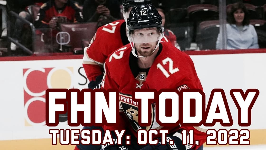 Florida panthers