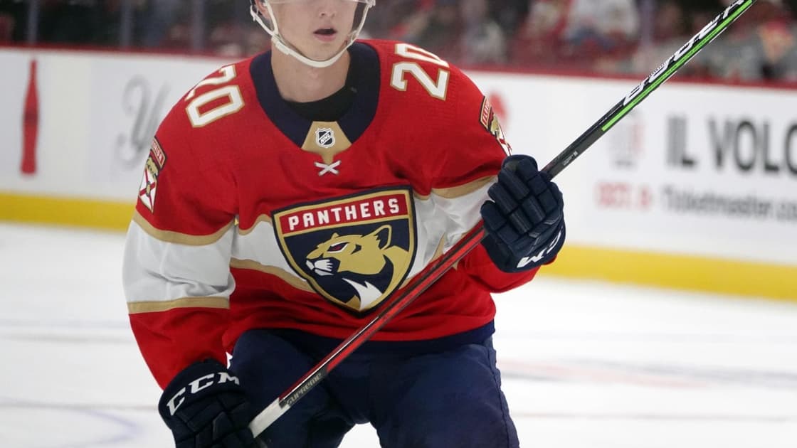 Florida panthers
