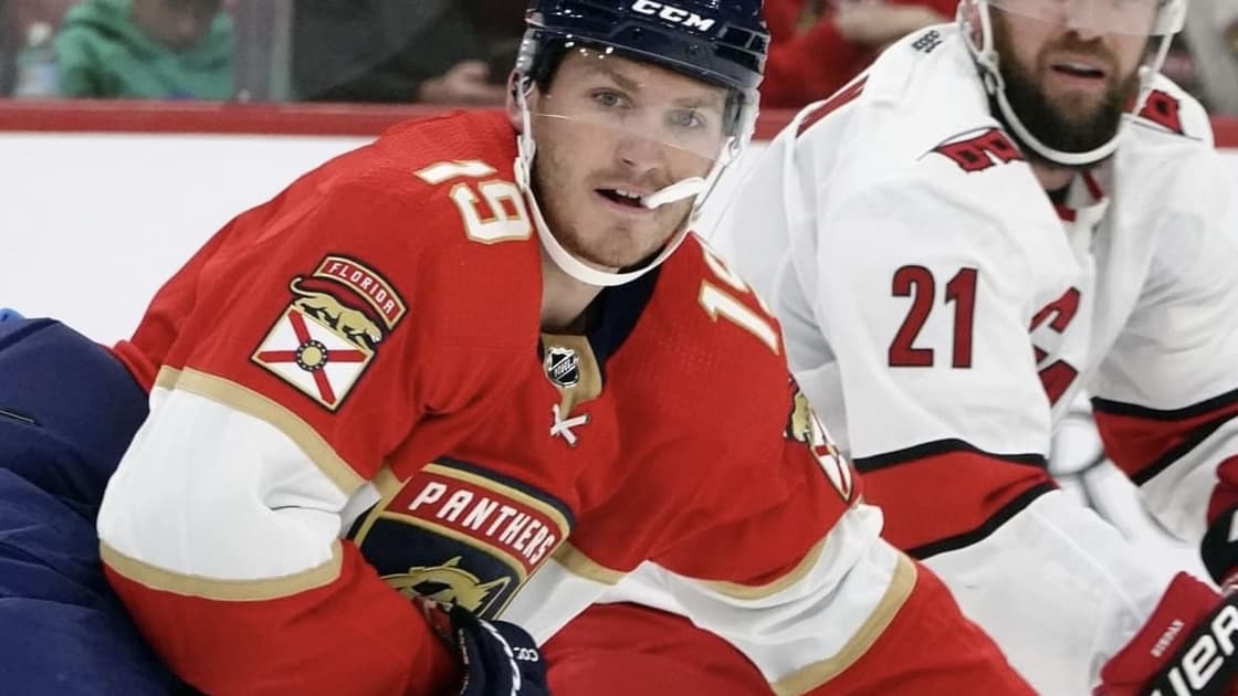 Florida panthers