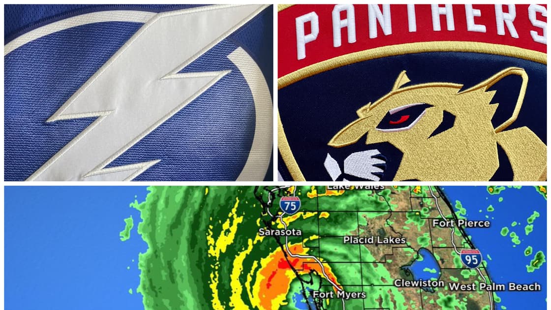 Florida panthers