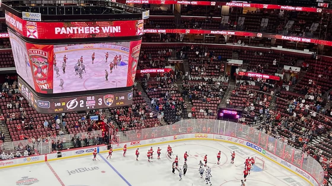 Florida panthers