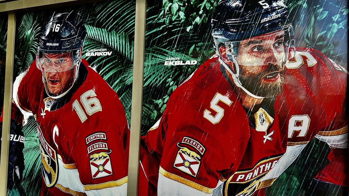 Florida panthers