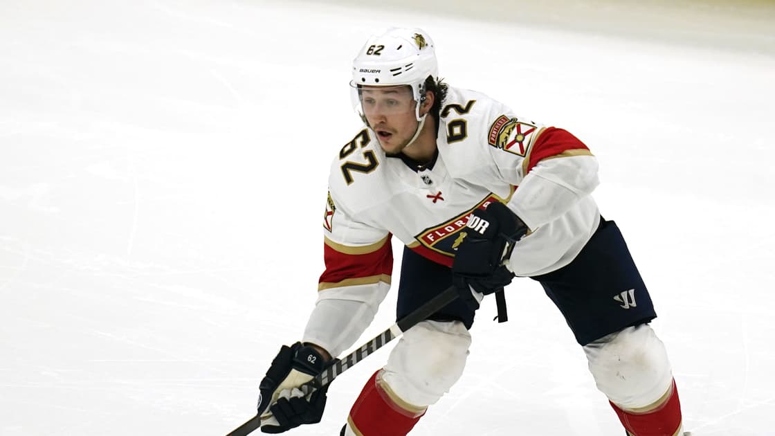 Florida panthers