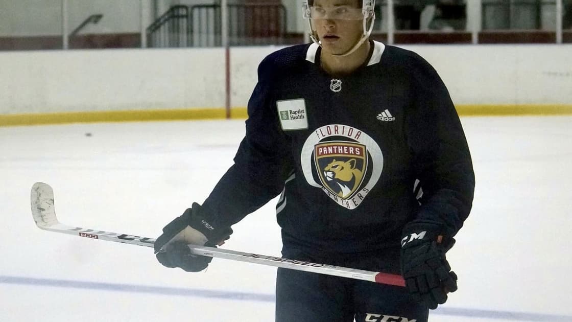 Florida panthers