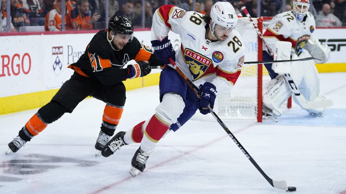 Florida panthers