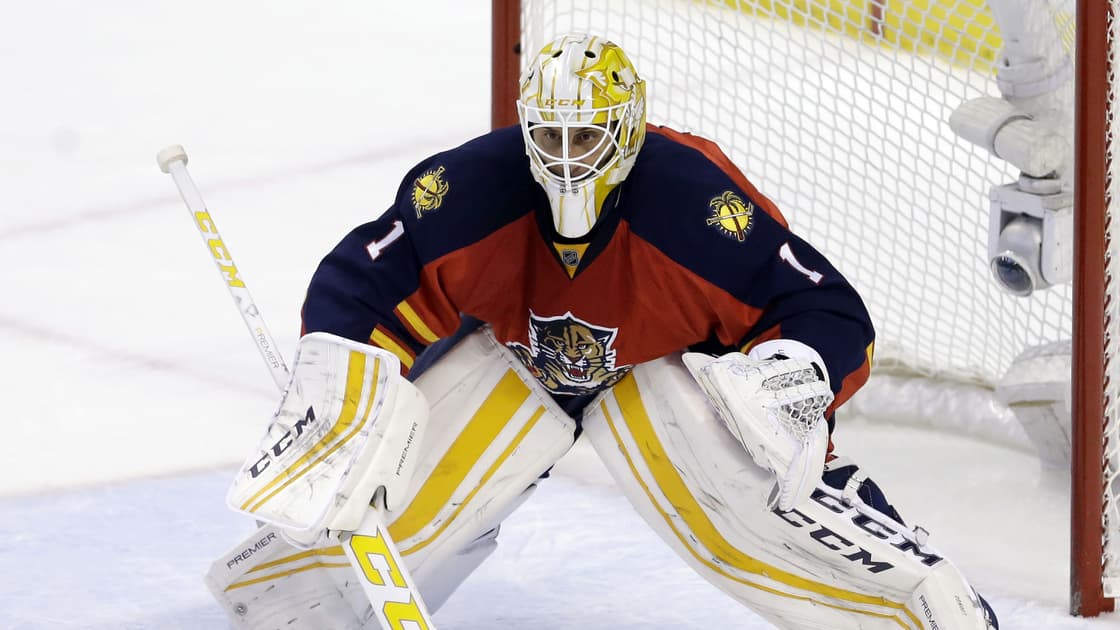 Florida panthers