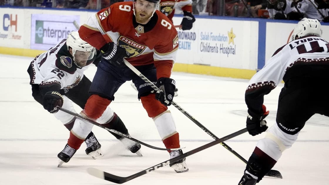 Florida panthers