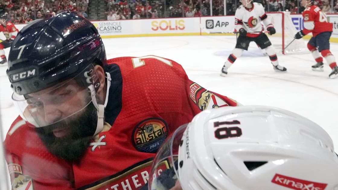 Florida panthers
