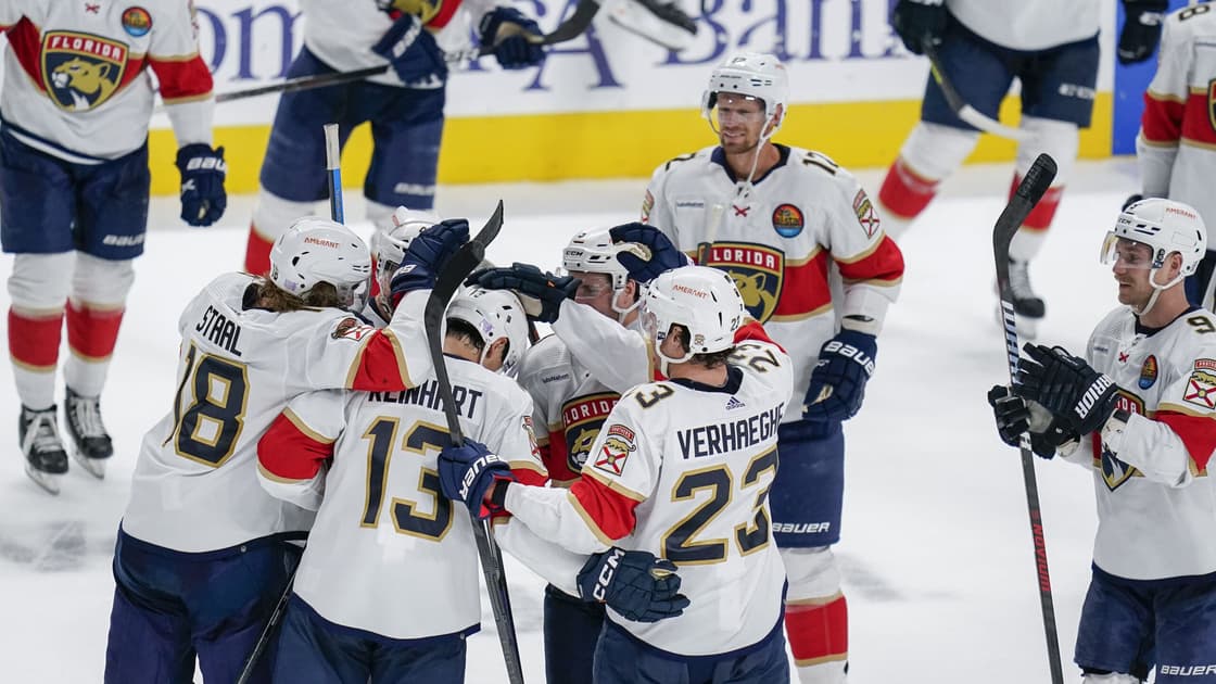 Florida panthers