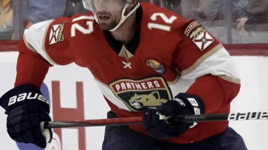 Florida panthers