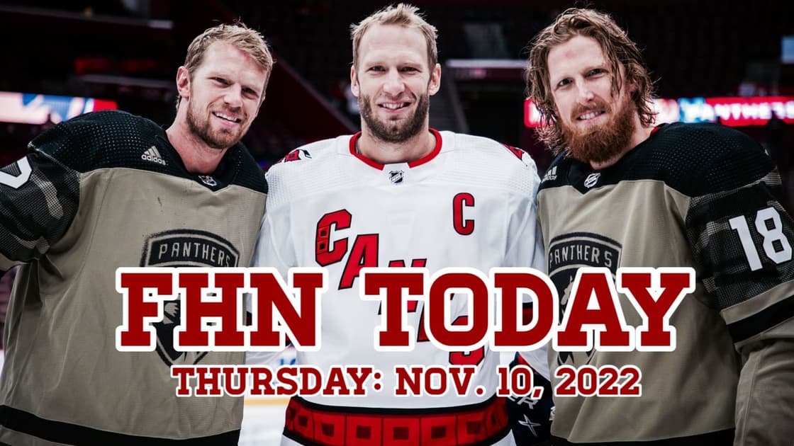 Florida panthers