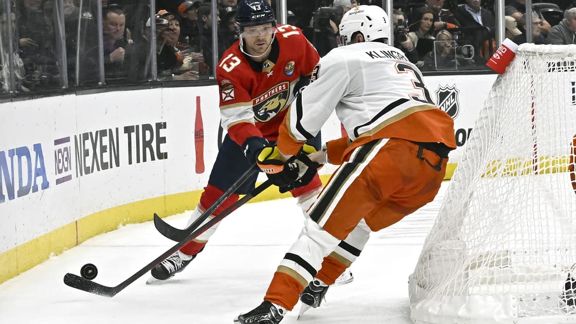 Florida panthers
