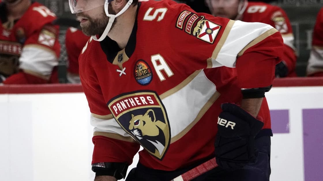Florida panthers