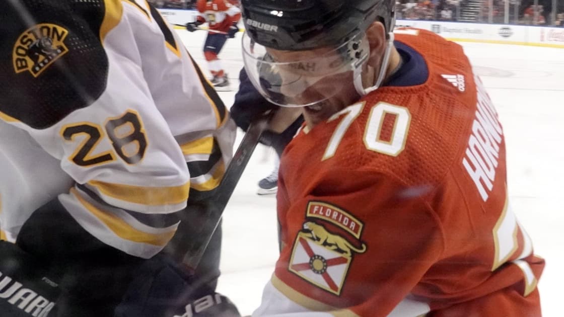 Panthers bruins