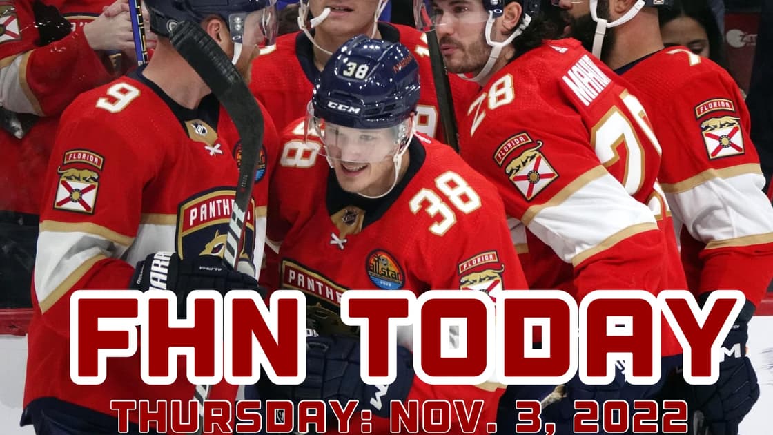Florida panthers