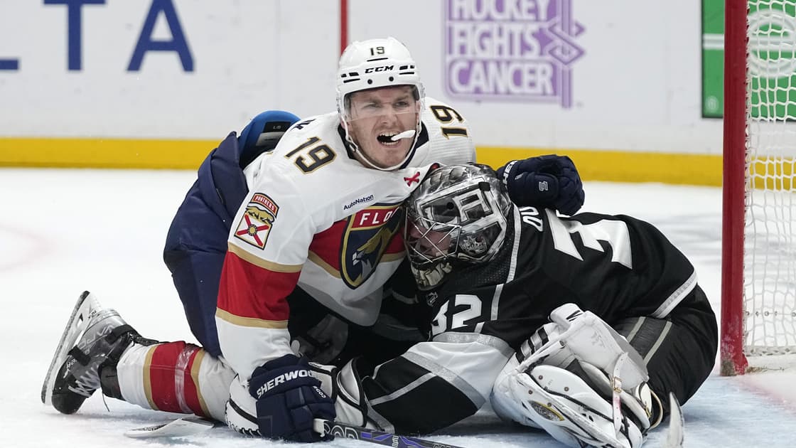 Florida panthers