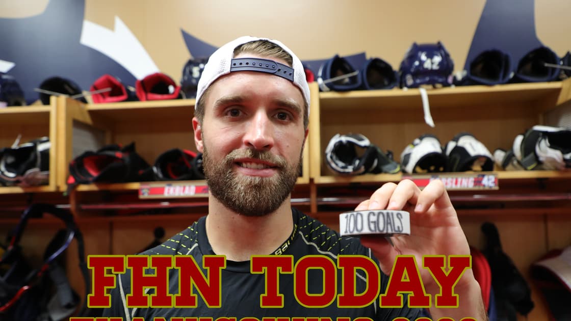 Florida panthers
