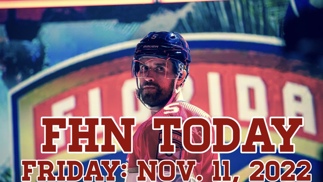 Florida panthers