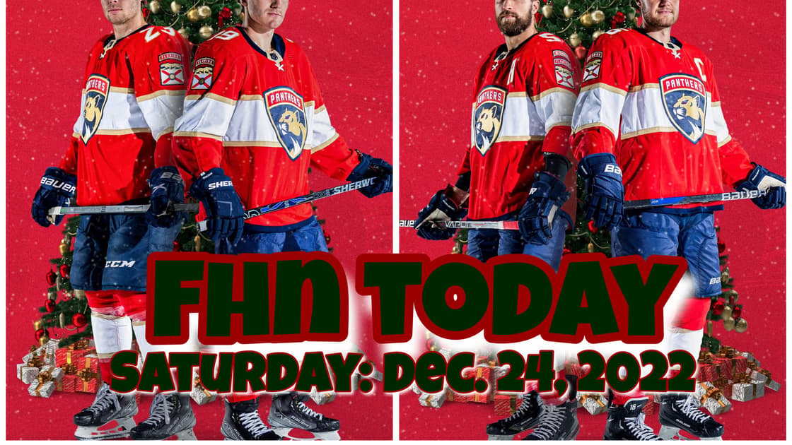 Florida panthers