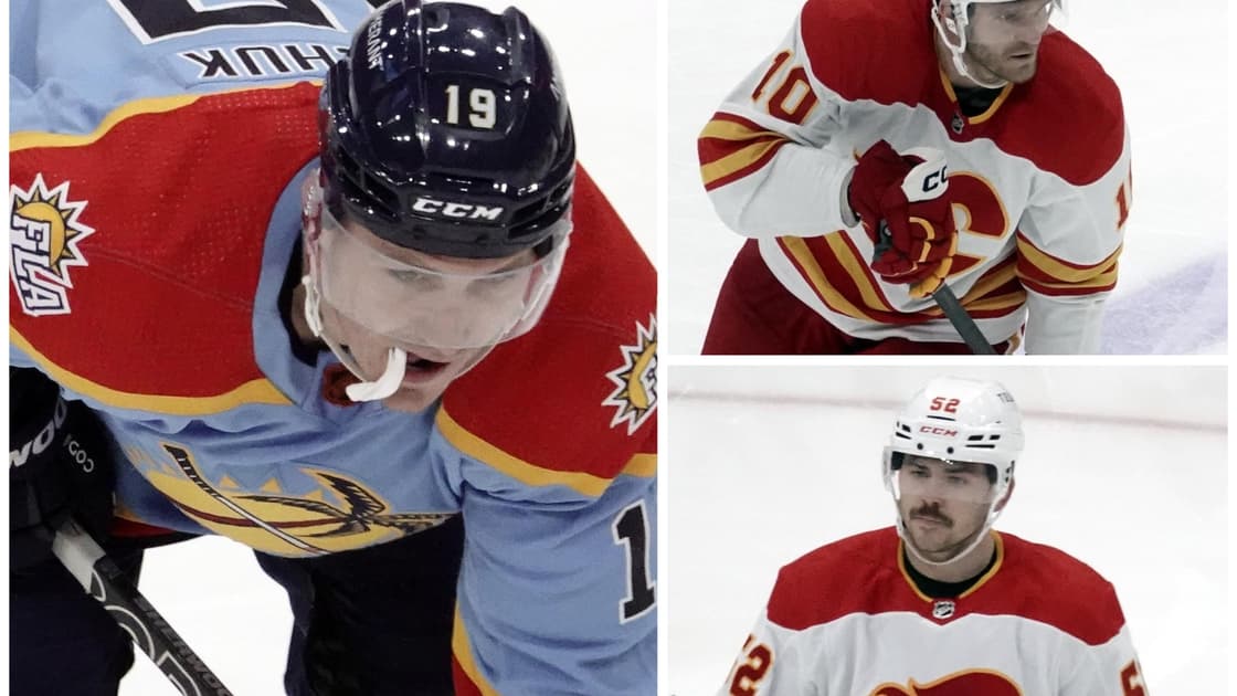 Florida panthers