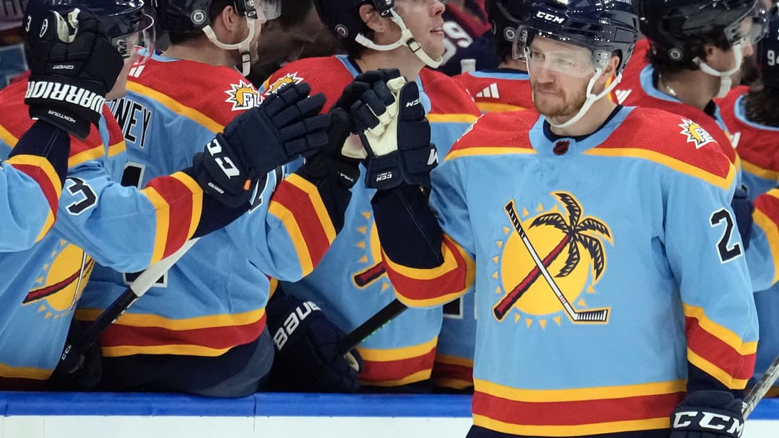 Florida panthers