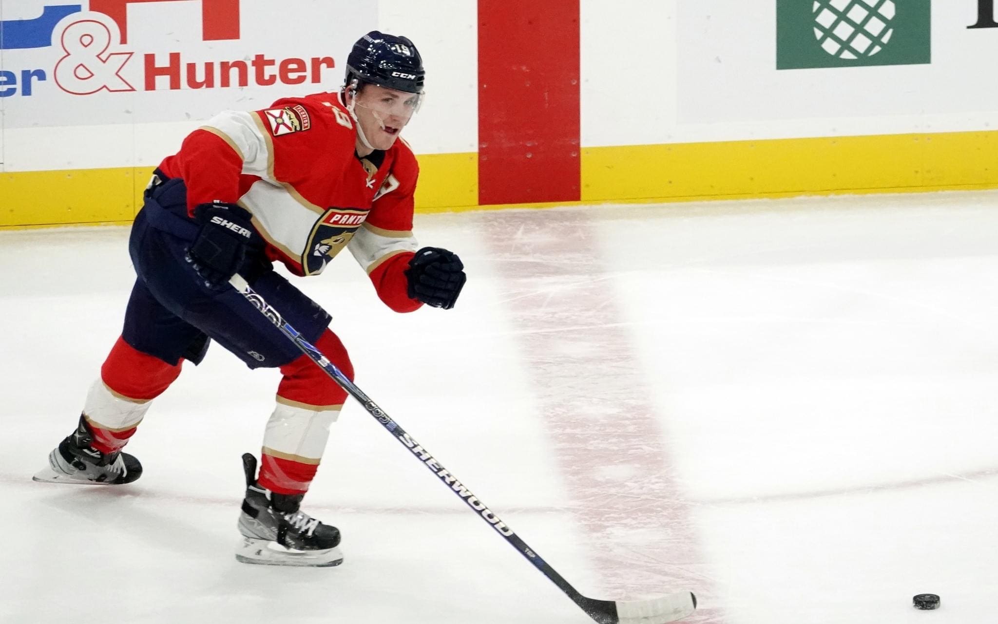 Florida panthers