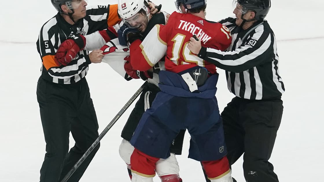 Florida panthers