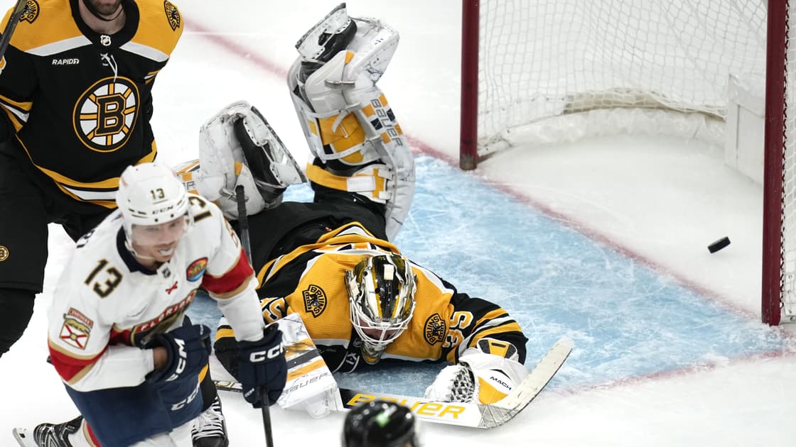 Florida panthers
