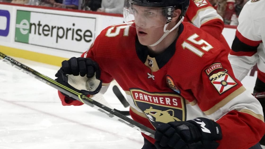 Florida panthers