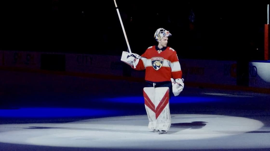 Florida panthers