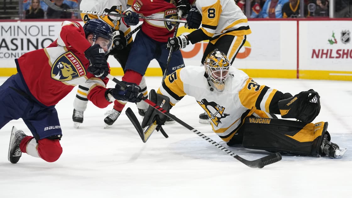 Florida panthers