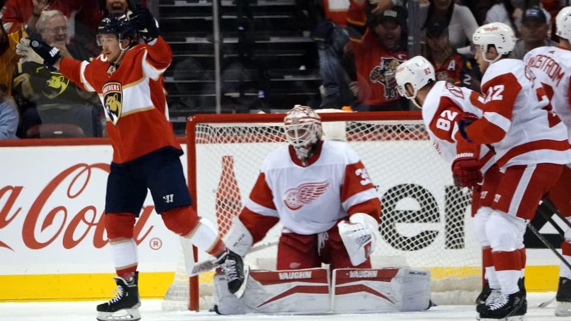 Panthers red wings