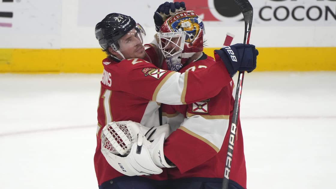 Florida panthers